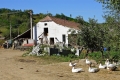 dsc02487