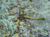 dsc04526