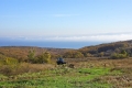 dsc05686