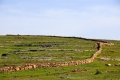 dsc04489