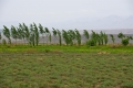 dsc04994