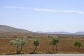 dsc05472