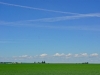dsc06548