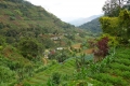 dsc09163
