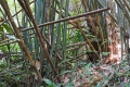 dsc08087