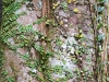 DSC02580