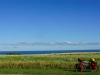 dsc08769