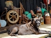 DSC07018