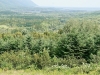 dsc09188