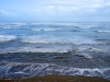 DSC03229