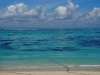 DSC00052